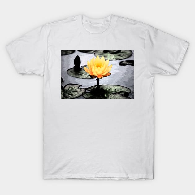 Yellow Water Lily T-Shirt by elisewied